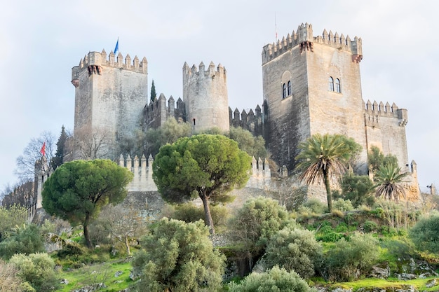 Castle Almodovar del Rio in Cordoba Spain