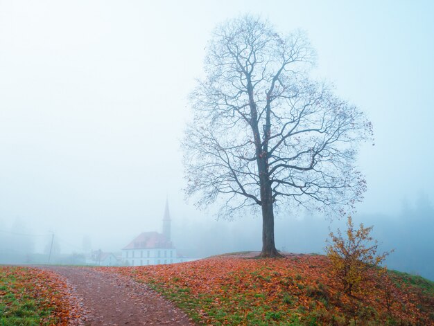 Castle in the autumn fog. Gatchina. Russia.