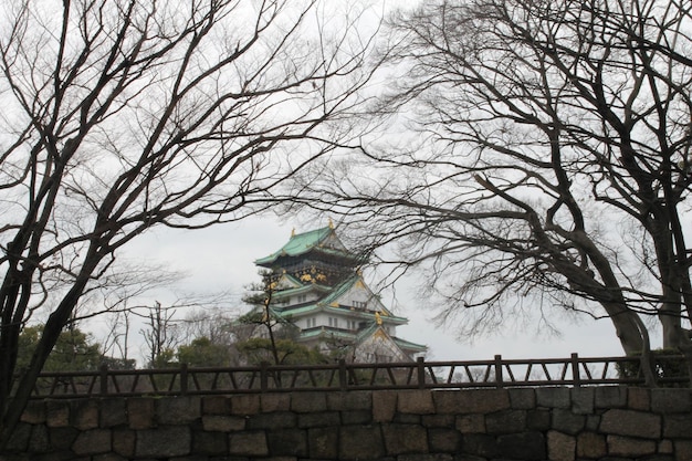 Photo a castle in the background behind a stone wall and some trees