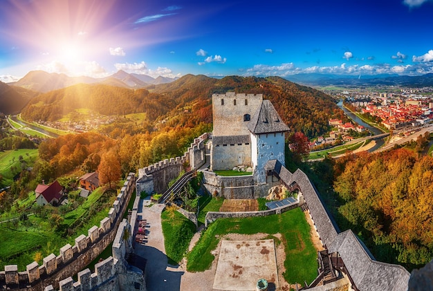 Castle in Celje city