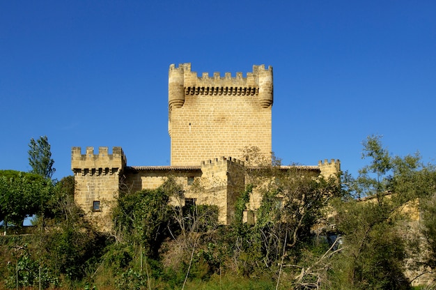 Foto castello, cuzcurrita de rio tirón, la rioja, spagna