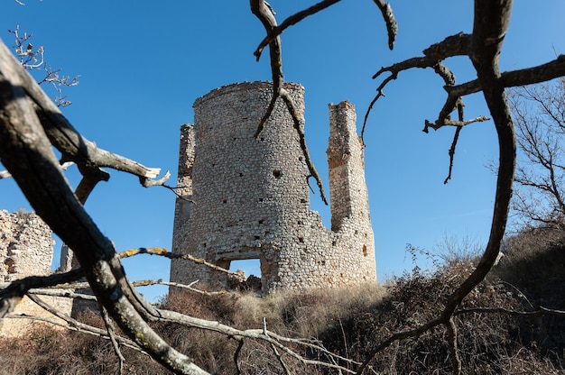 A castle in the forest with a tree branch in the foreground