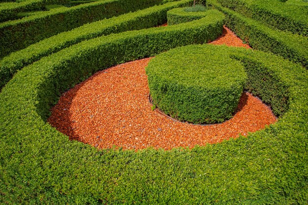 Castle gardens in front of Royal Castle in Warsaw Park with shrubs and green lawns landscape design