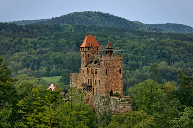 Photo a castle on a hill with a mountain in the background