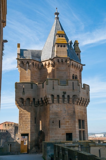 Castle of Olite