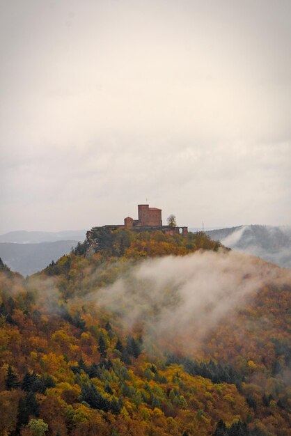 Foto il castello trifels nella foresta del palatinato in una nebbiosa giornata d'autunno