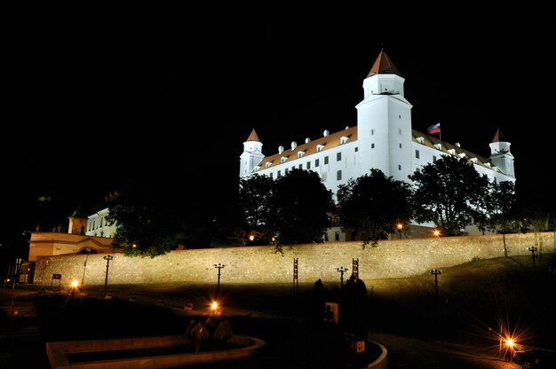 Photo a castle with a flag on the top of it