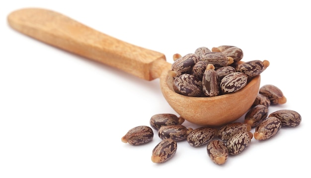 Castor beans in wooden spoon over white background