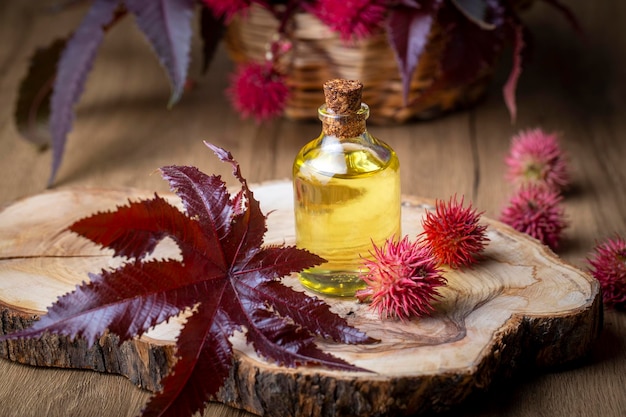 Castor oil bottle with castor fruits, seeds and leaf. Ricinus Communis plant oil.