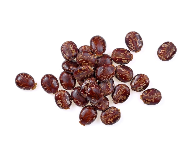 Castor oil seeds (Ricinus Communis) isolated on white background