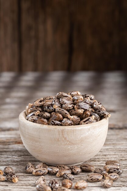 Castor oil seeds on the table space for text