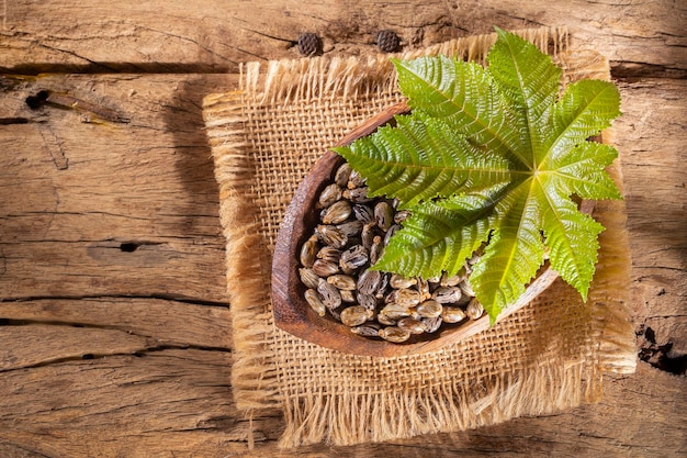 Castor oil and seeds on wooden background