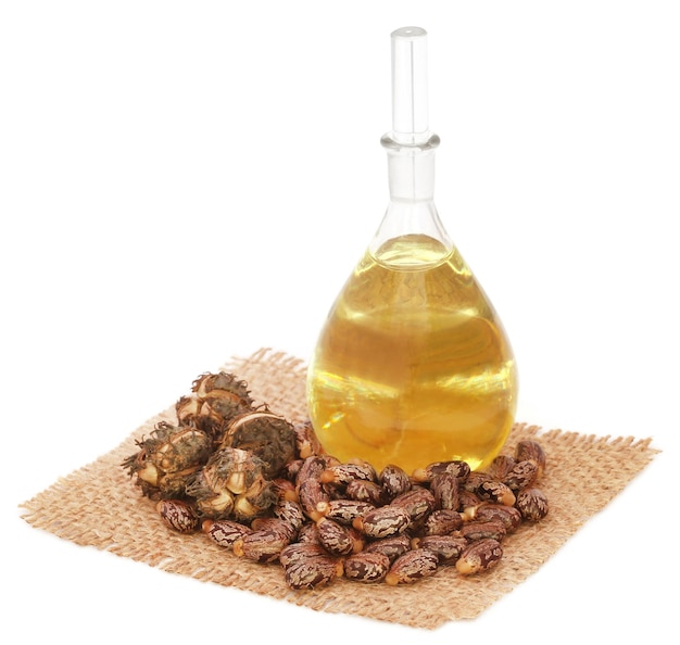 Castor oil with beans on sack over white background