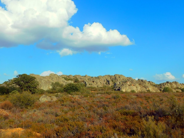 Castrocalbon landscapes in the Leon province in spain