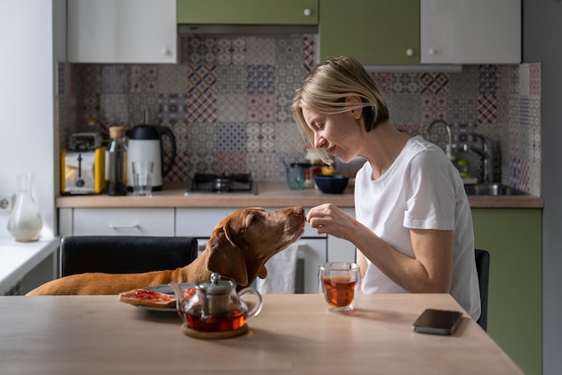 Casual European woman blonde having breakfast at kitchen table and treat dog Hungarian Vizsla