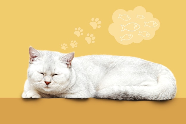 The cat dreams of fish British cat sleeps on a yellow background