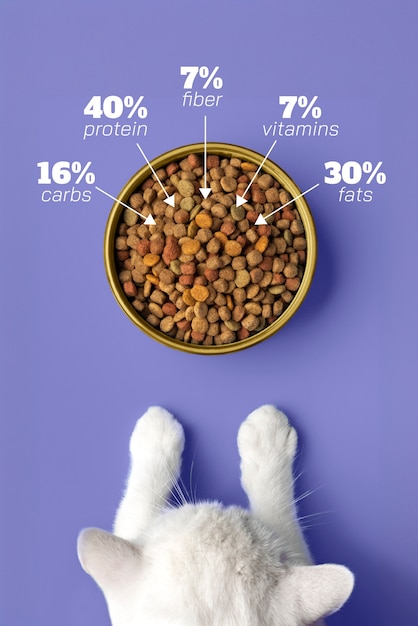Foto grafici di cibo per gatti