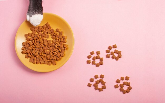 Foto cibo per gatti sfondo rosa