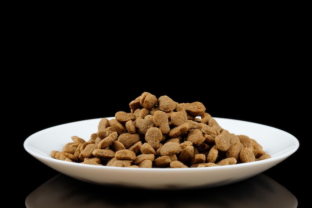 Cat food on a white plate Animal feed