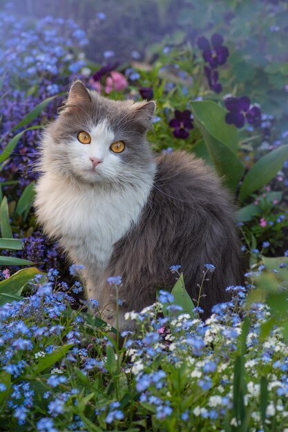 忘れられない青い花と緑の背景の猫 忘れられない緑の葉の花の猫