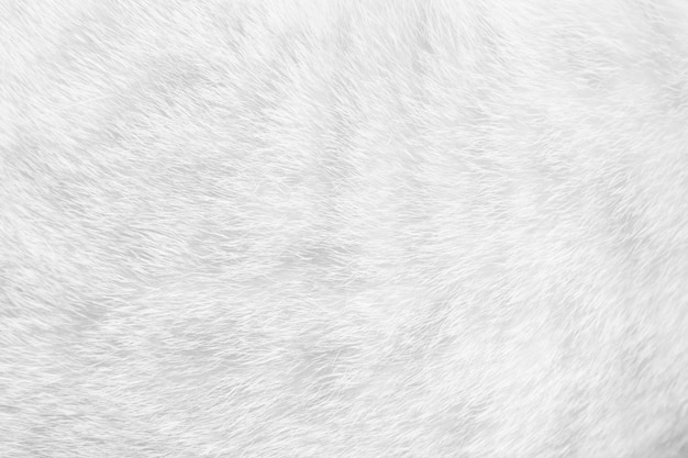 White Fur Texture Images – Browse 115,432 Stock Photos, Vectors