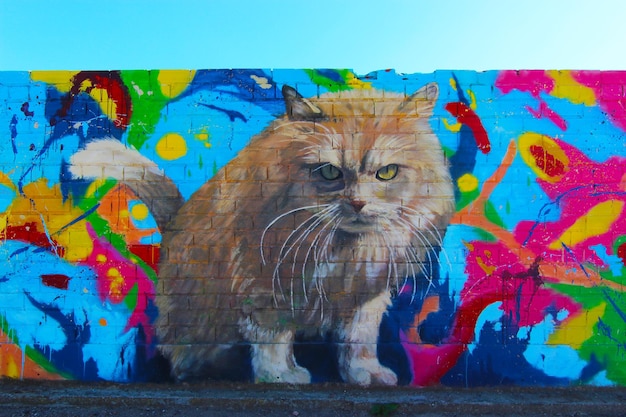 Cat graffiti on the wall, Penelles.