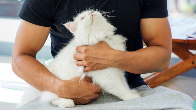 Photo cat hair on a black t-shirt.