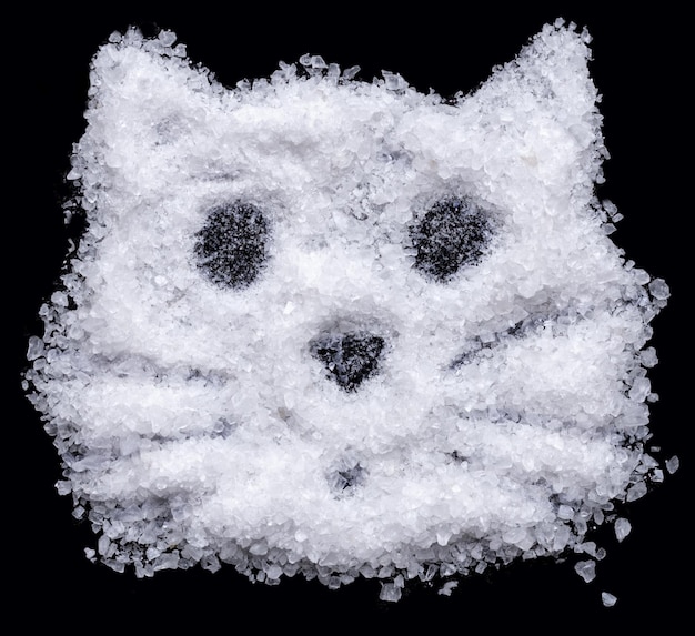 Cat head shape drawn with salt like snow isolated on black background Design object for your photos