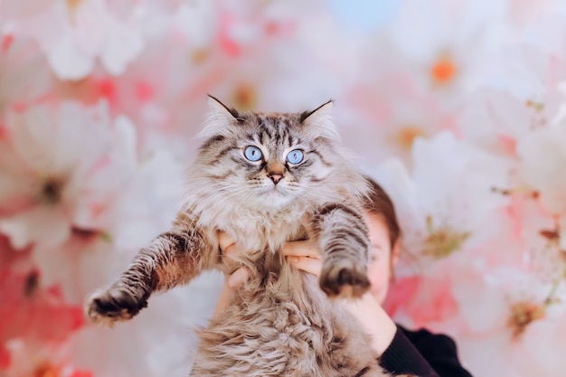 Cat held by girl on her hands against the background of the wall with large flowers