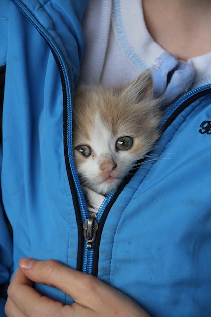 Cat in arms onder een jas van een man