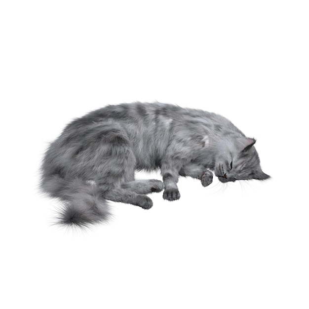 cat isolated on white background, 3D illustration, cg render