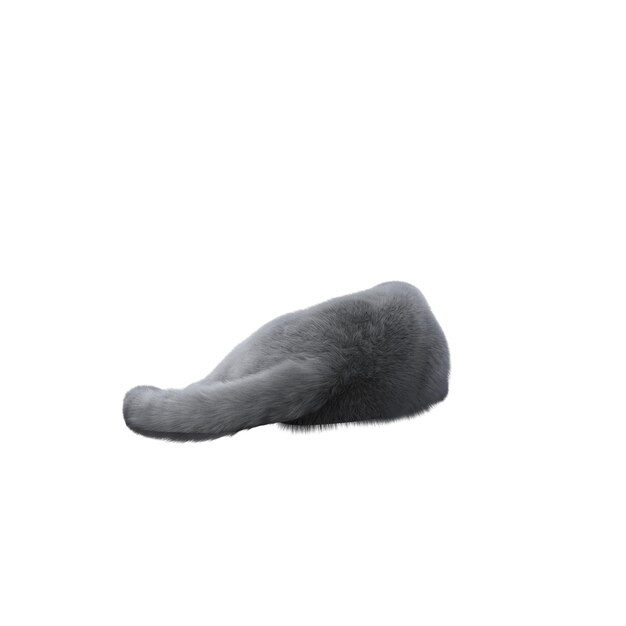 cat isolated on white background, 3D illustration, cg render