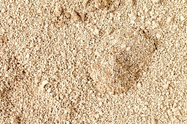 cat litter background texture sand for pets toilet