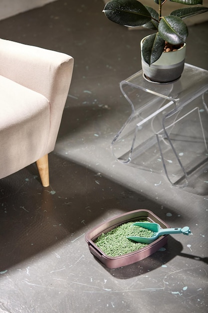 Cat litter box with green litter placed on the floor of the interior.