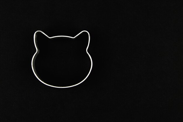 Photo cat logo on a black background