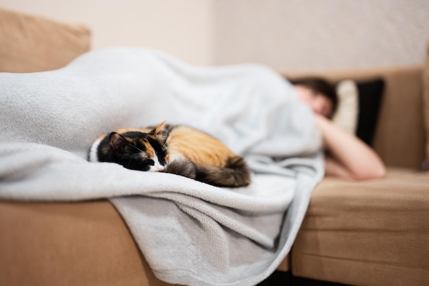 飼い主と一緒に家のベッドに横たわっている猫