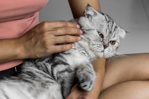 Photo cat lying on lap happily.