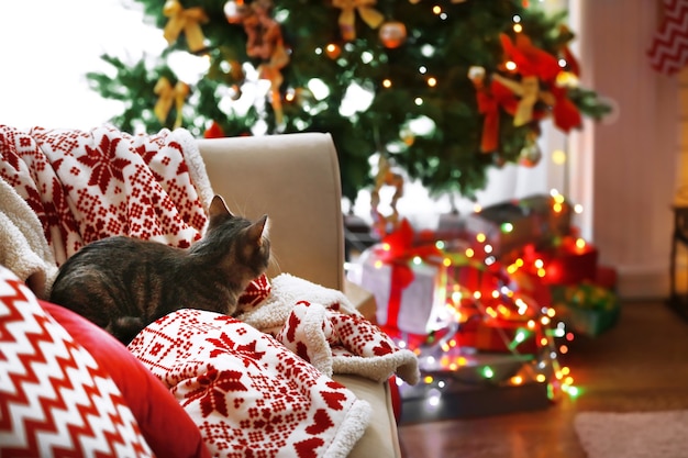 Cat lying on sofa in living room decorated for Christmas