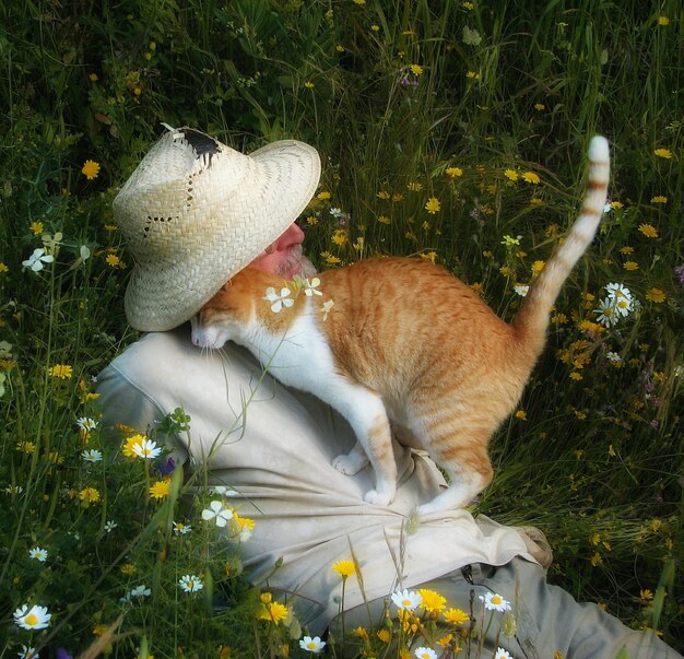 Foto gatto sull'uomo sdraiato sul prato