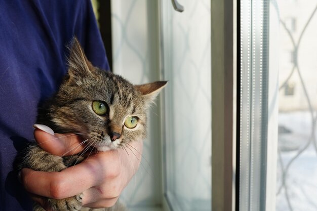 A cat in a man's arms is held by a window.