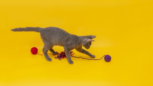 Фото Кошка играет с клубками ниток