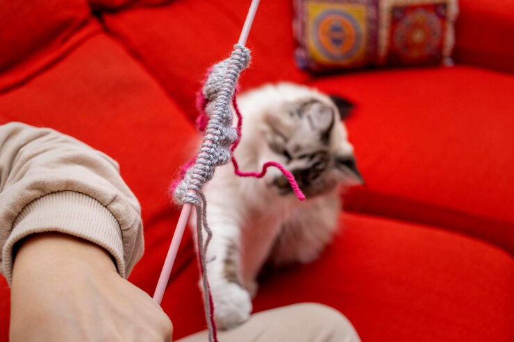 Photo cat playing with wool yarn knitting at home