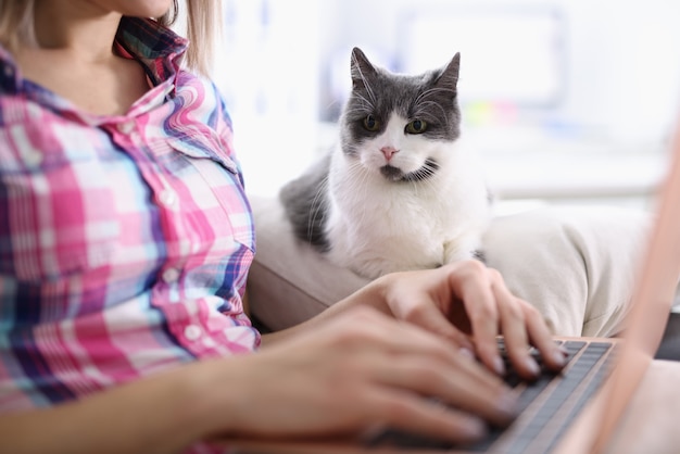 自宅でラップトップを持つ女性の近くのソファに座っている猫