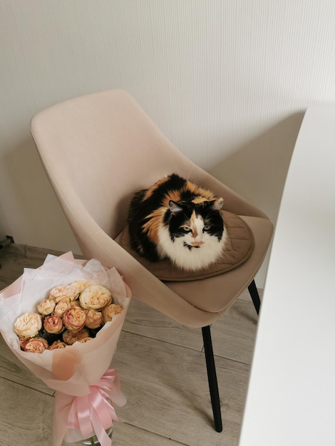 The cat sits on an armchair next to a bouquet of red roses in a glass vase on the table