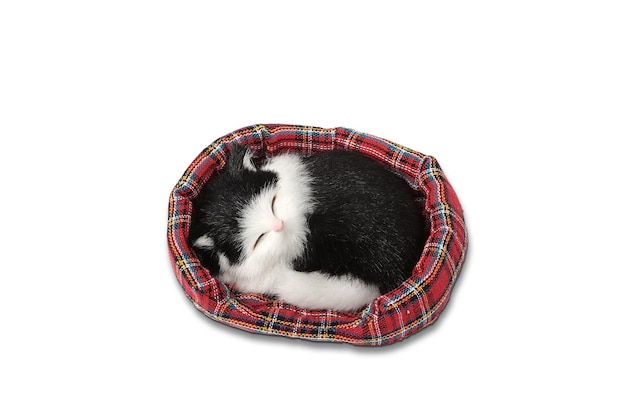 A cat sleeping in a plaid cat bed.