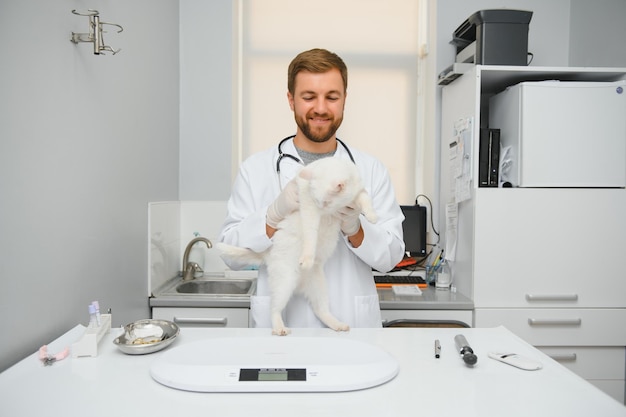 Cat visiting vet for regular checkup