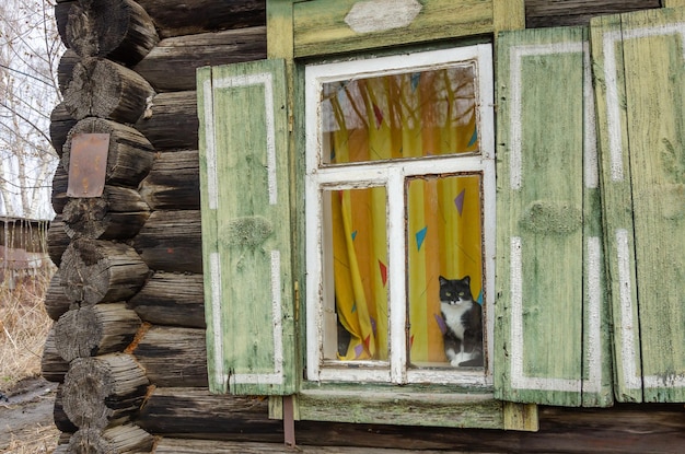A cat in the window of an old house in the village