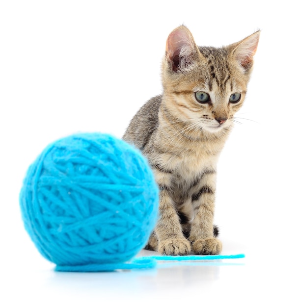 Cat with ball of yarn