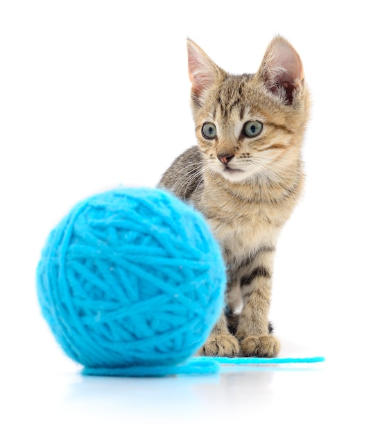 Cat with ball of yarn