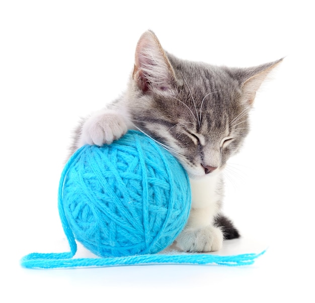 Cat with ball of yarn